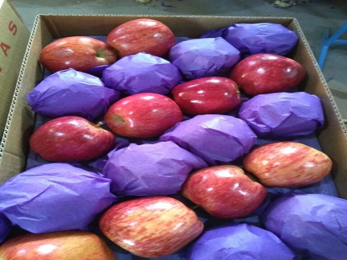 Manzanas Rojas